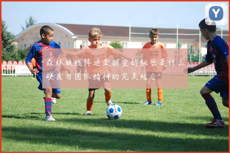 森林狼残阵逆袭掘金的秘密是什么硬度与团队精神的完美结合